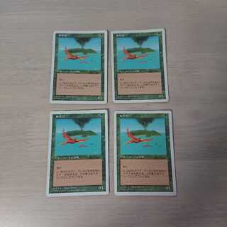 極楽鳥4枚セット①