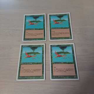 極楽鳥4枚セット②