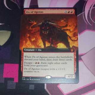 Ox of Agonas Expansion