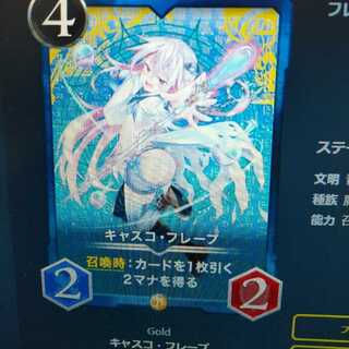 2枚組 キャスコ・フレープ（バラ可）