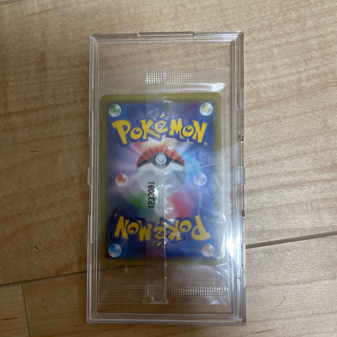 Pikachu Charizard in poncho