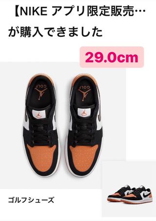 ナイキ エアジョーダン1 ロー ゴルフ "シャッタード バックボード" 29.0cm 29cm  29cm