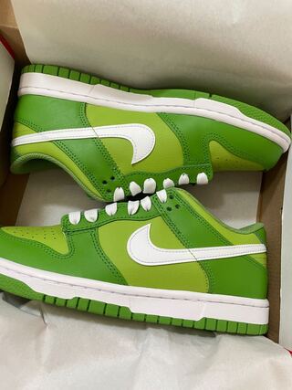Nike GS Dunk Low "Kermit/Chlorophyll" 24.5cm