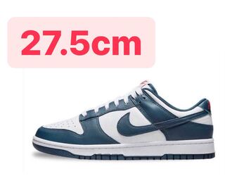 Nike Dunk Low Valerian Blue ダンク バレリアンブルー 27.5cm