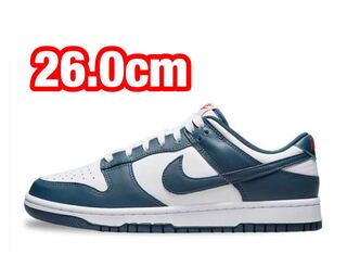 ナイキ ダンク ロー "バレリアンブルー" 26cm