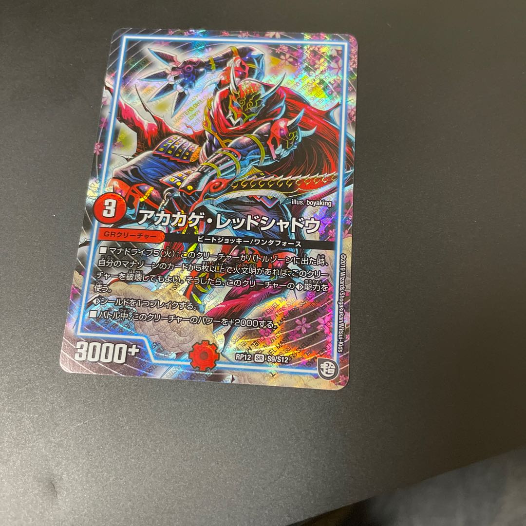 Red Lizard Red Shadow