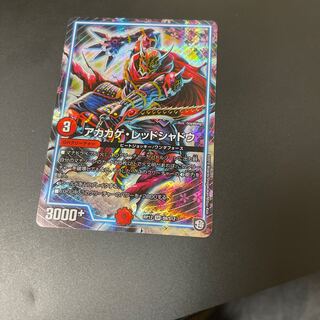 Red Lizard Red Shadow