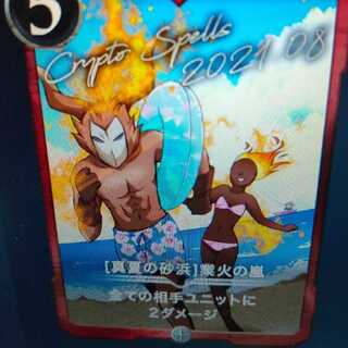 2枚組 業火の嵐（バラ可）