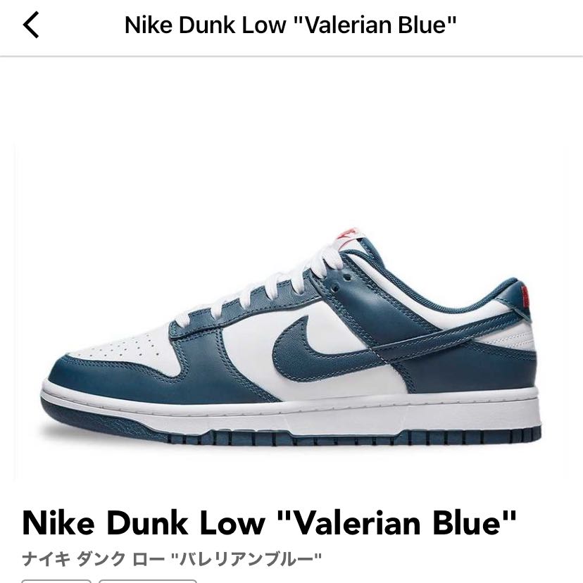 Nike Dunk Low "Valerian Blue" 27cm
