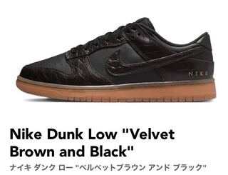 ナイキ ダンク ロー "ベルベットブラウン アンド ブラック" 28cm