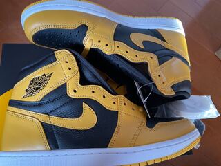NIKE  JORDAN 1 HIGH OG "POLLEN" ジョーダン28 28cm