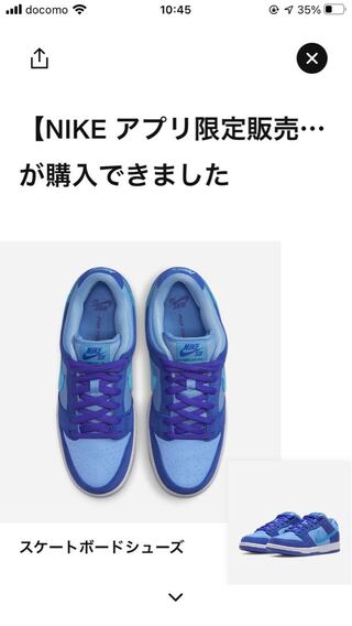 新品 ナイキ SB ダンク ロー ブルーラズベリー 28.0 28cm