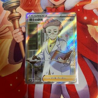 博士の研究　SR