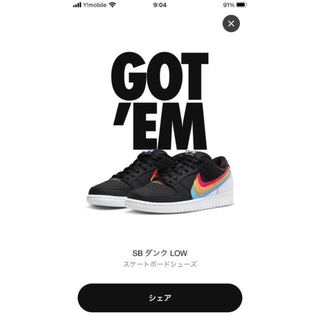 Nike sb dunk low pro black x Polaroid 28 28cm