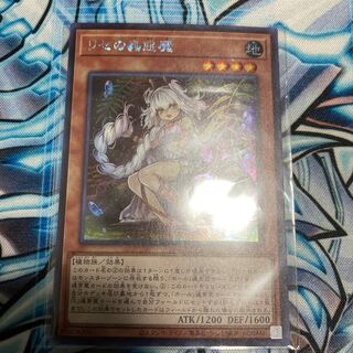Traptrix Genlisea (Japanese illustration) Secret Rare