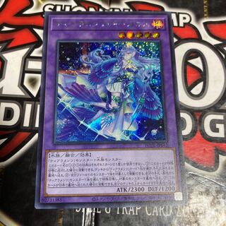 Yu-Gi-Oh, Tiaramentskitokaros Secret