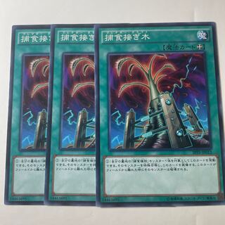 Predapruning ☆7532