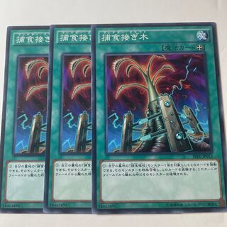 5627 Predapruning ☆7547