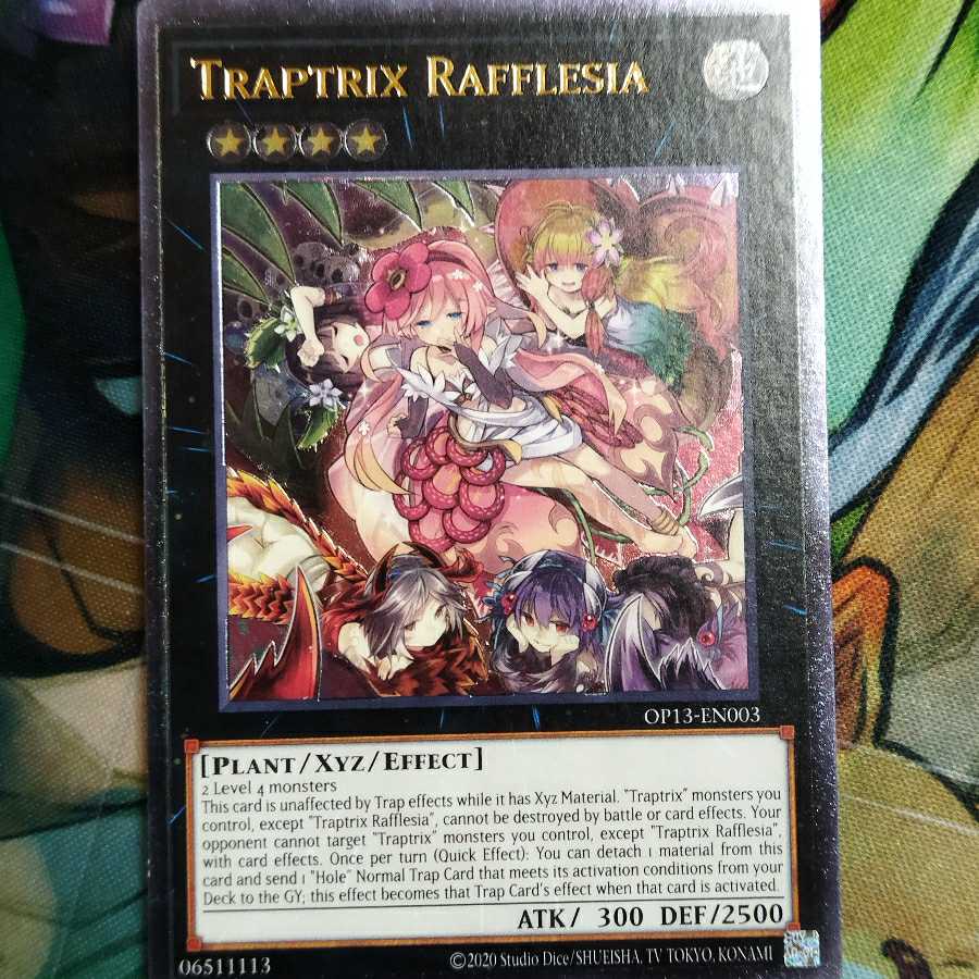 Plesia Insecta English Relief