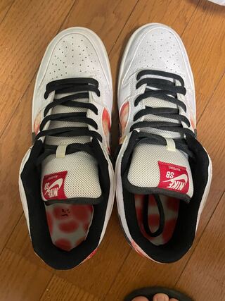 NIKE SB DUNK LOW RAYGUN WHITE 27cm