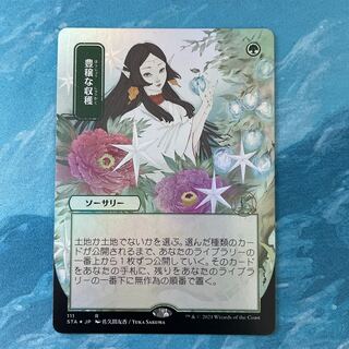 MTG foil Abundant Harvest