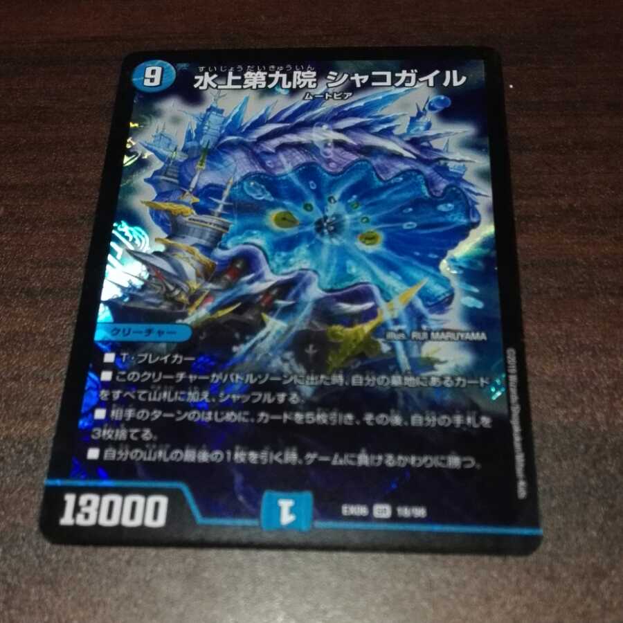 水上第九院シャコガイル