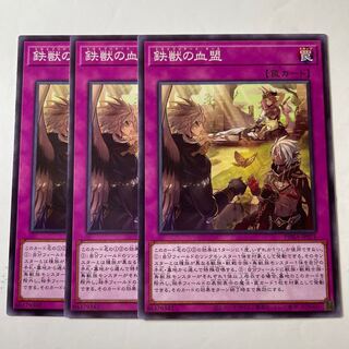 5656 鉄獣の血盟 ノーマル JP071