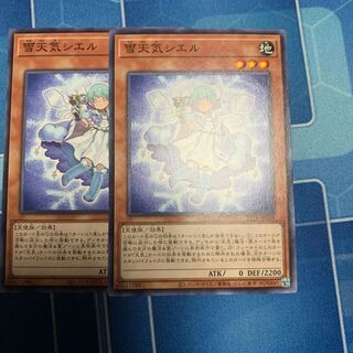 The Weather Painter Snow Normal