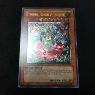 椿姫ティタニアル 英語 アンリミ アルティメットレア