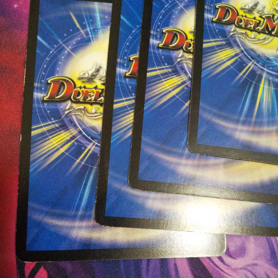 Kirimomi porcupine R-foil