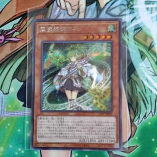 Wynn the Wind Channeler Secret