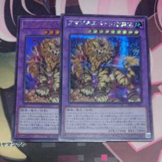 アマゾネスペット虎獅王 ウルトラ シークレット