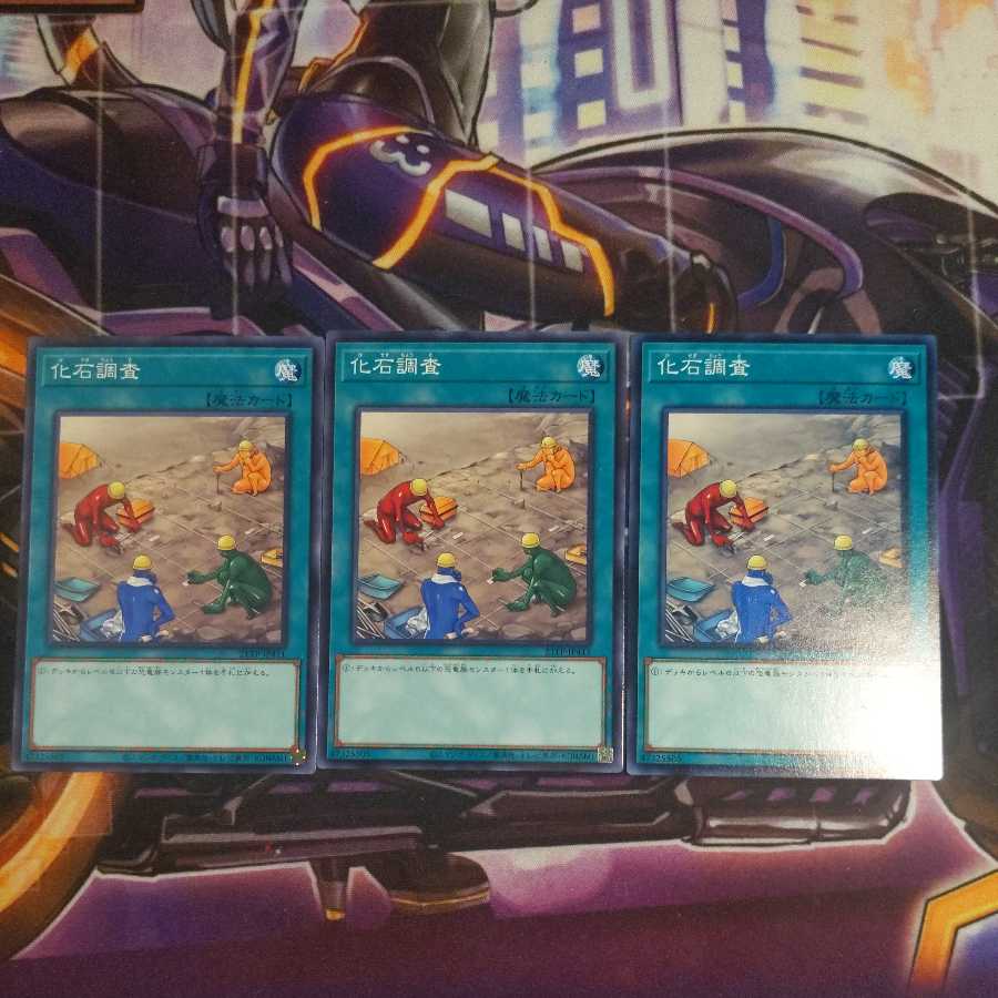 Fossil Dig Normal 3 piece set