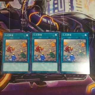 化石調査 ノーマル　3枚セット