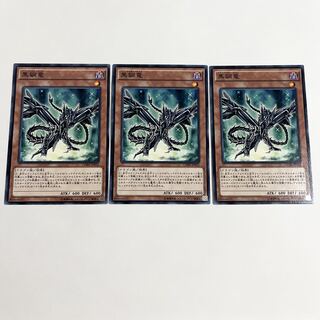 Black Metal Dragon Normal JP022 3