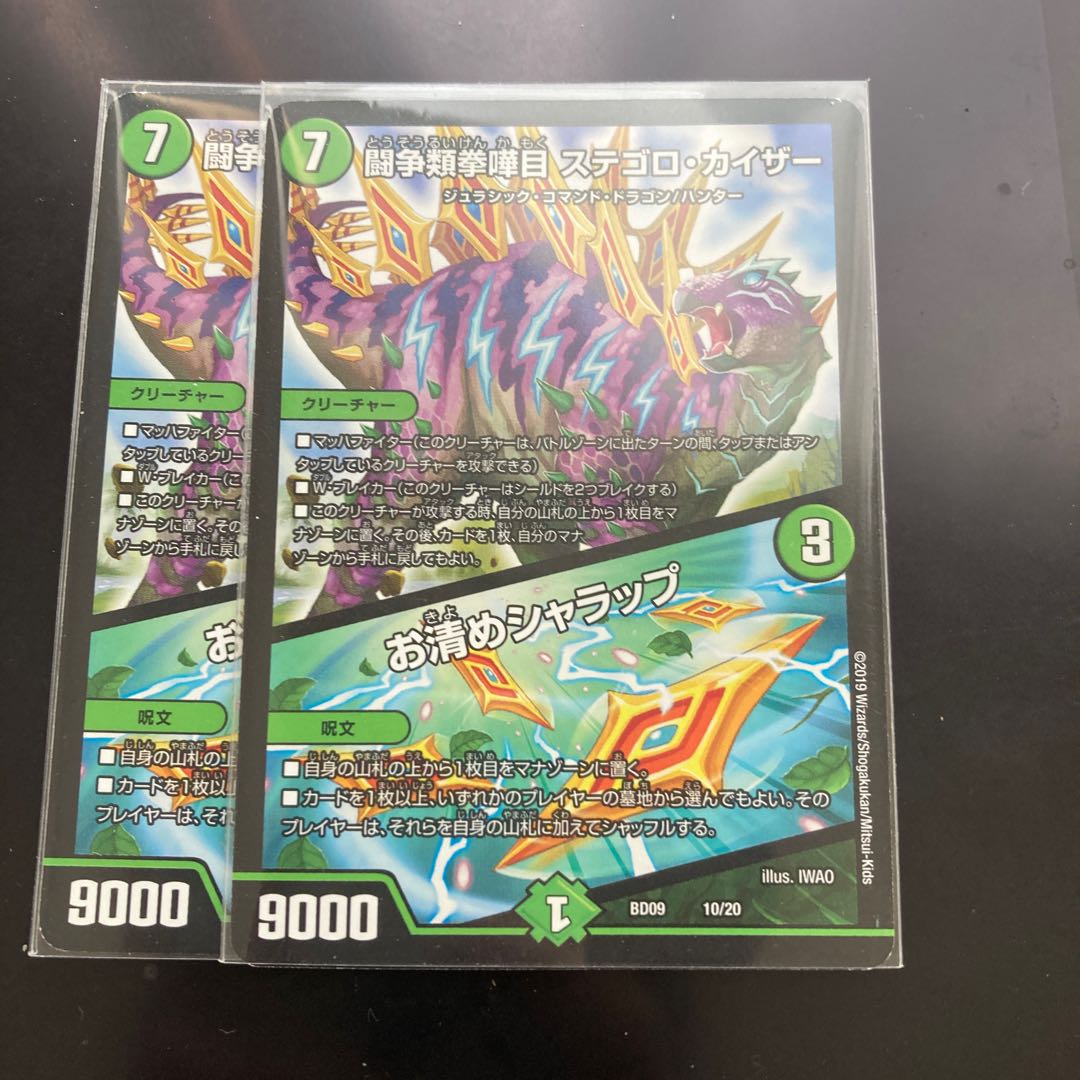 闘争類拳嘩目 ステゴロ・カイザー｜お清めシャラップ