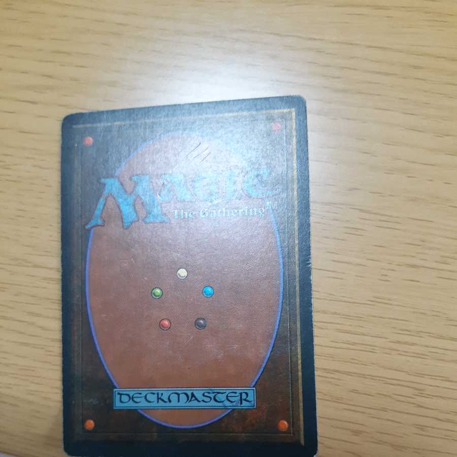 tropicalIsland 3ed English