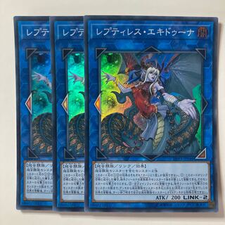 レプティレス・エキドゥーナ　☆7661