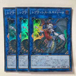 レプティレス・エキドゥーナ　☆7662