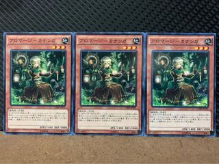 【ぽぽたん】遊戯王 6563 アロマージ-カナンガ 3枚 ノーマル