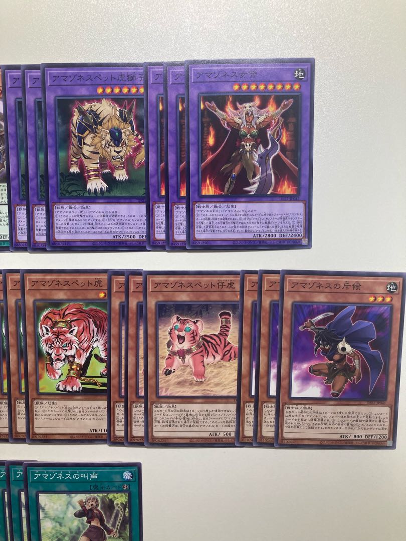 Amazones Deck Parts Due Squirrelt ed.