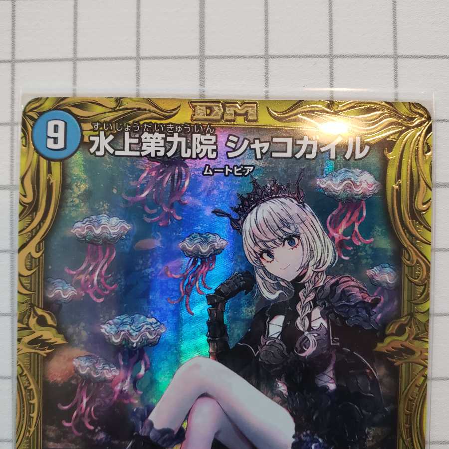 Waterjo Ninth Institute Shakogile (20th SP Rare Spec.)