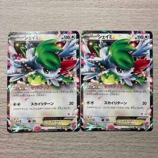 ShayminEX 2-piece set