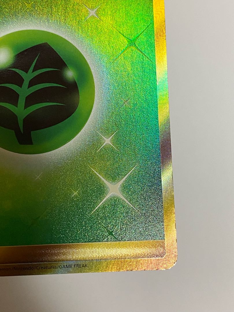 Mr. Chicken Rice Basic GrassEnergy 068/051 UR