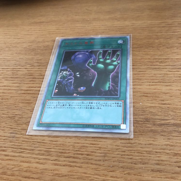 おろかな重葬　20th