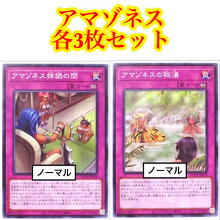 アマゾネス拝謁の間 アマゾネスの秘湯 各3枚セット 遊戯王