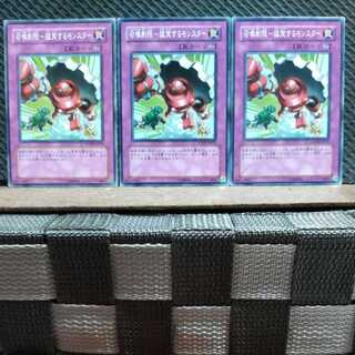 【ぽぽたん】遊戯王 336  召喚制限ー猛突するモンスター ノーマル3枚