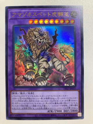 アマゾネスペット虎獅王 ウルトラレア