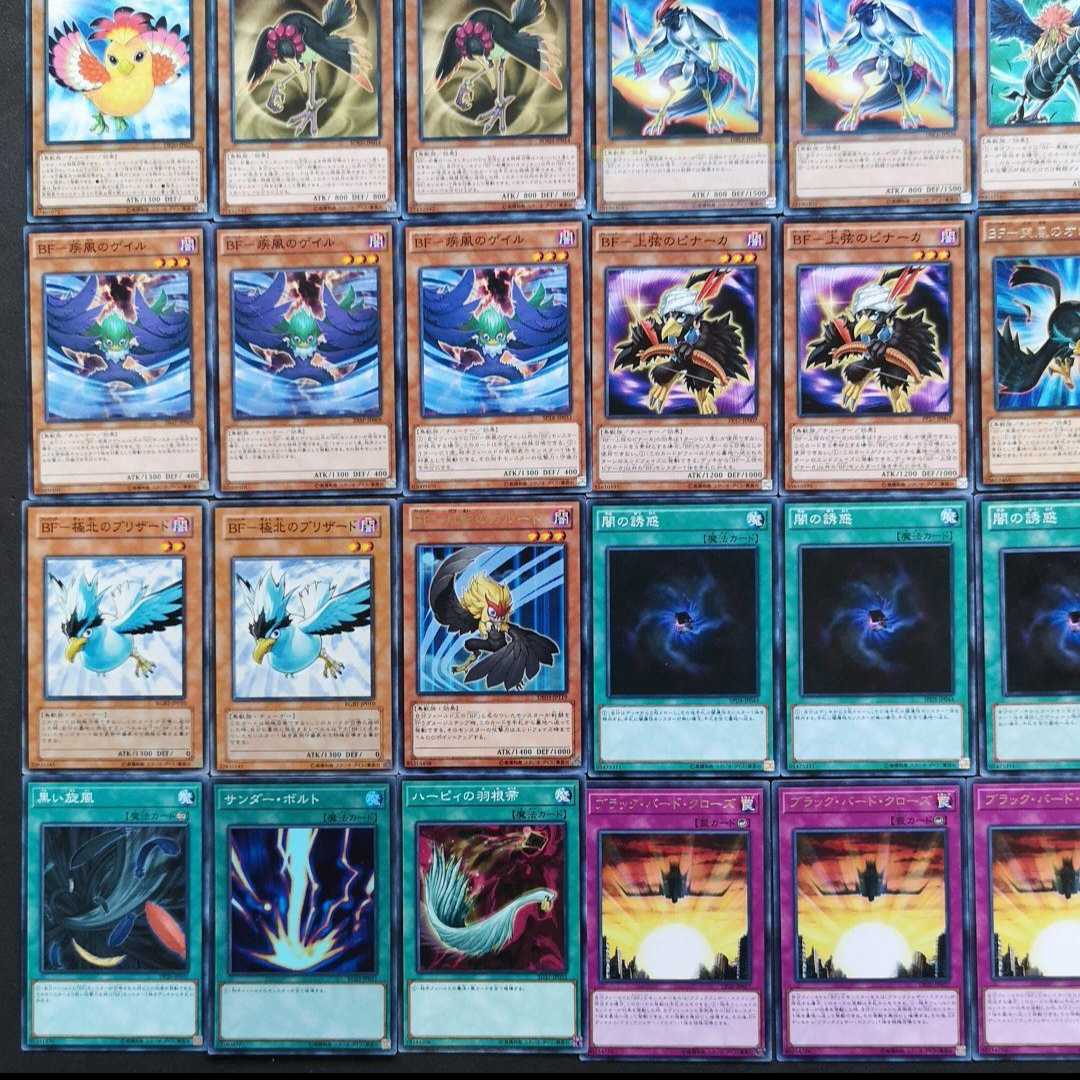 ◎№946 Yu-Gi-Oh! Black Feather Deck