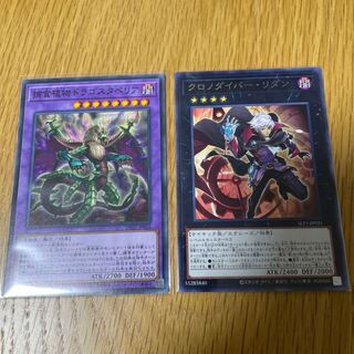 Predaplant Dragostapelia Time Thief Redoer